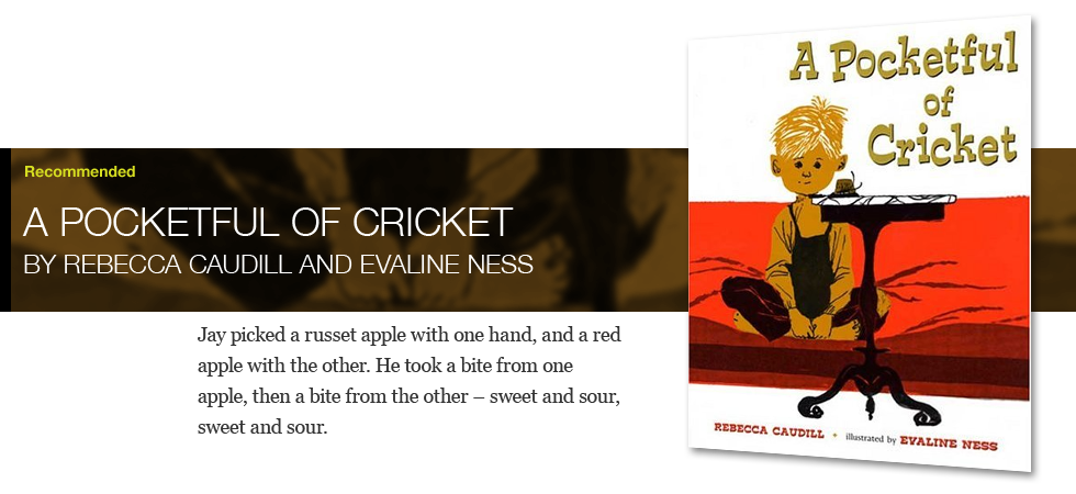 A Pocketful of Cricket