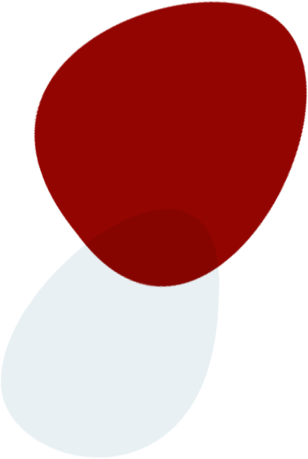 about blurb bg